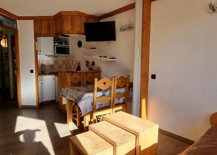 2 Etoiles Skis Aux Pieds - Vue Sur Pistes - Fr-1-181-2581 * La Plagne